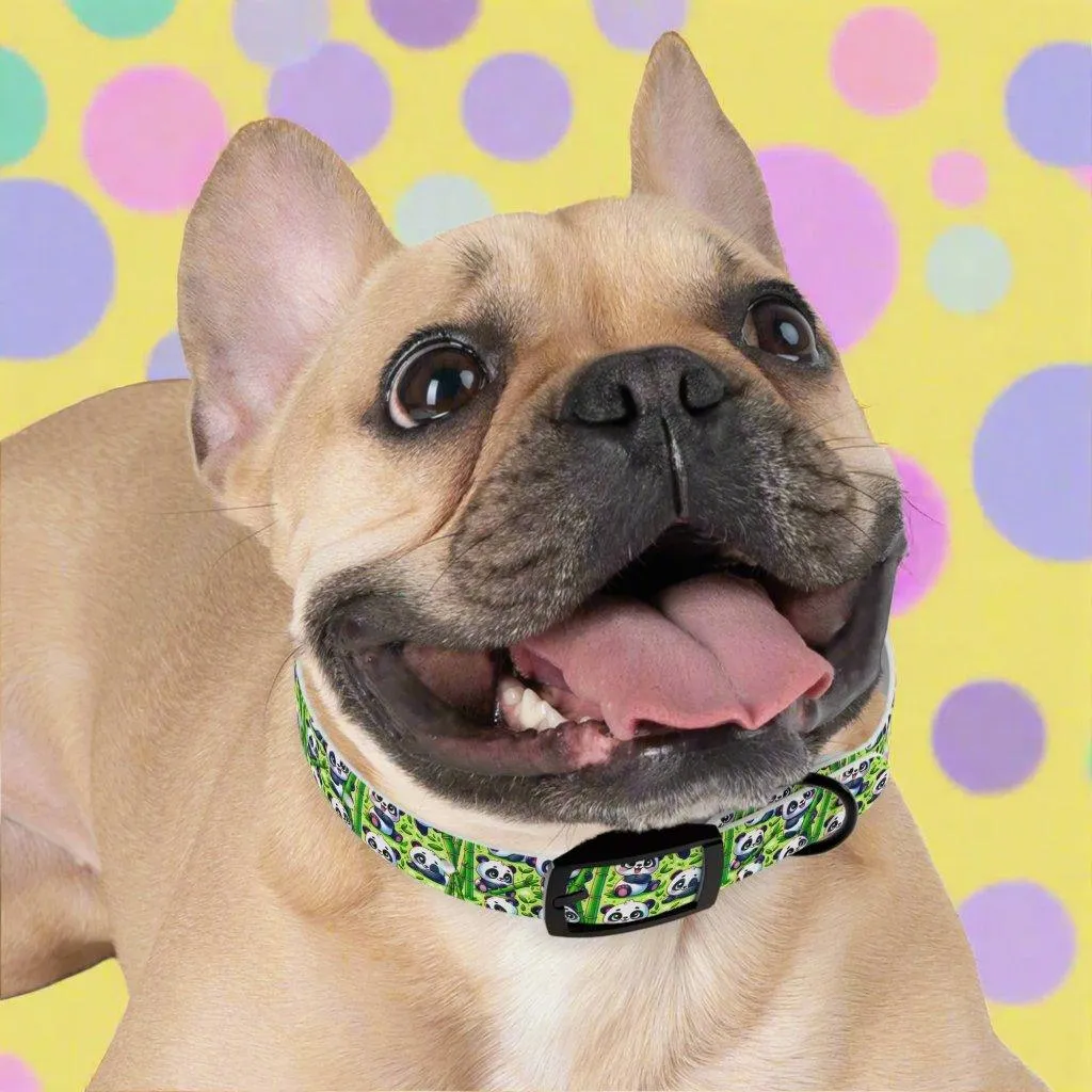 : 🐼 Playful Panda Paws Dog Collar – USA Made 🐾