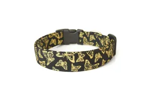 Black & Gold Butterflies Dog Collar