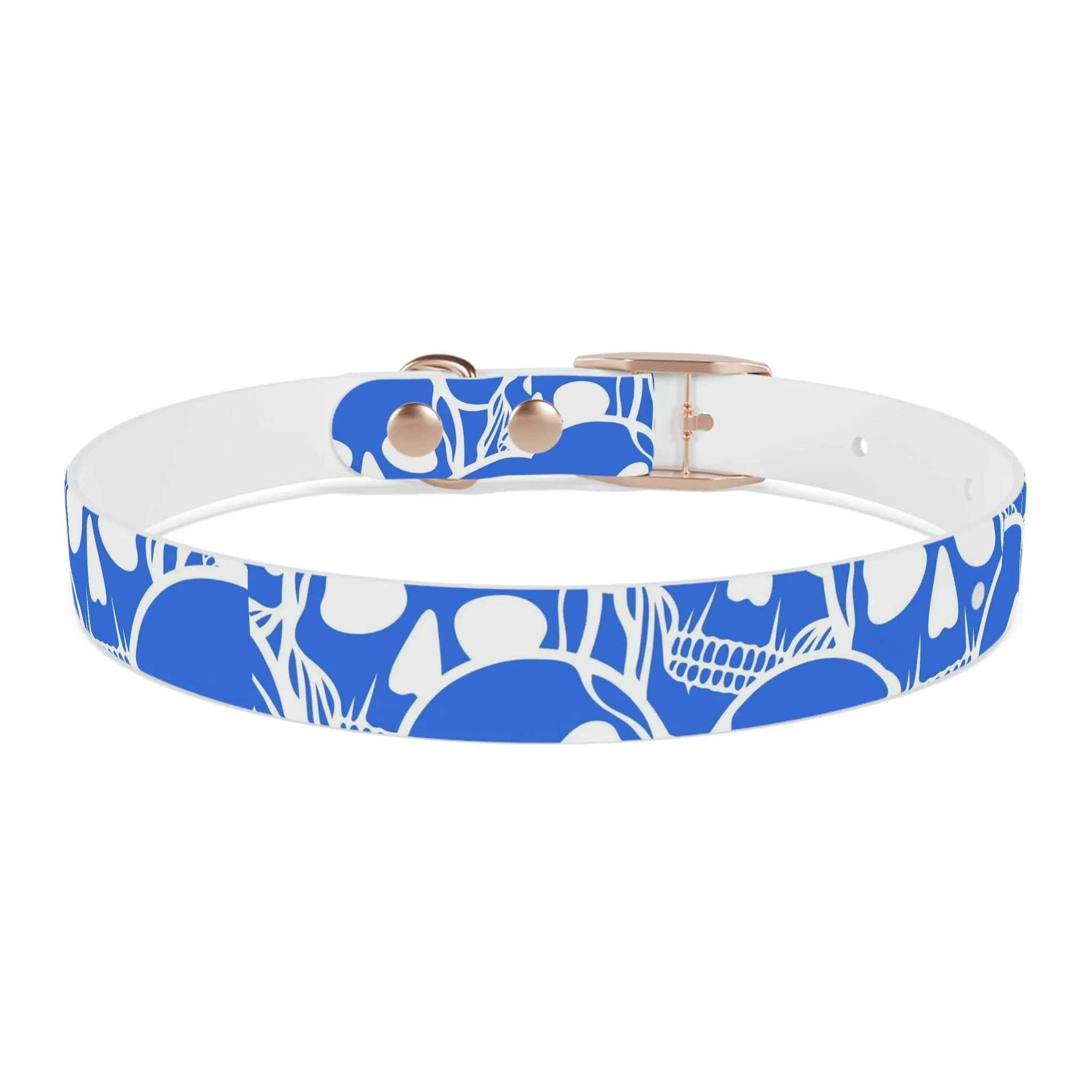 Blue Skull Dog Collar Four Color Buckles