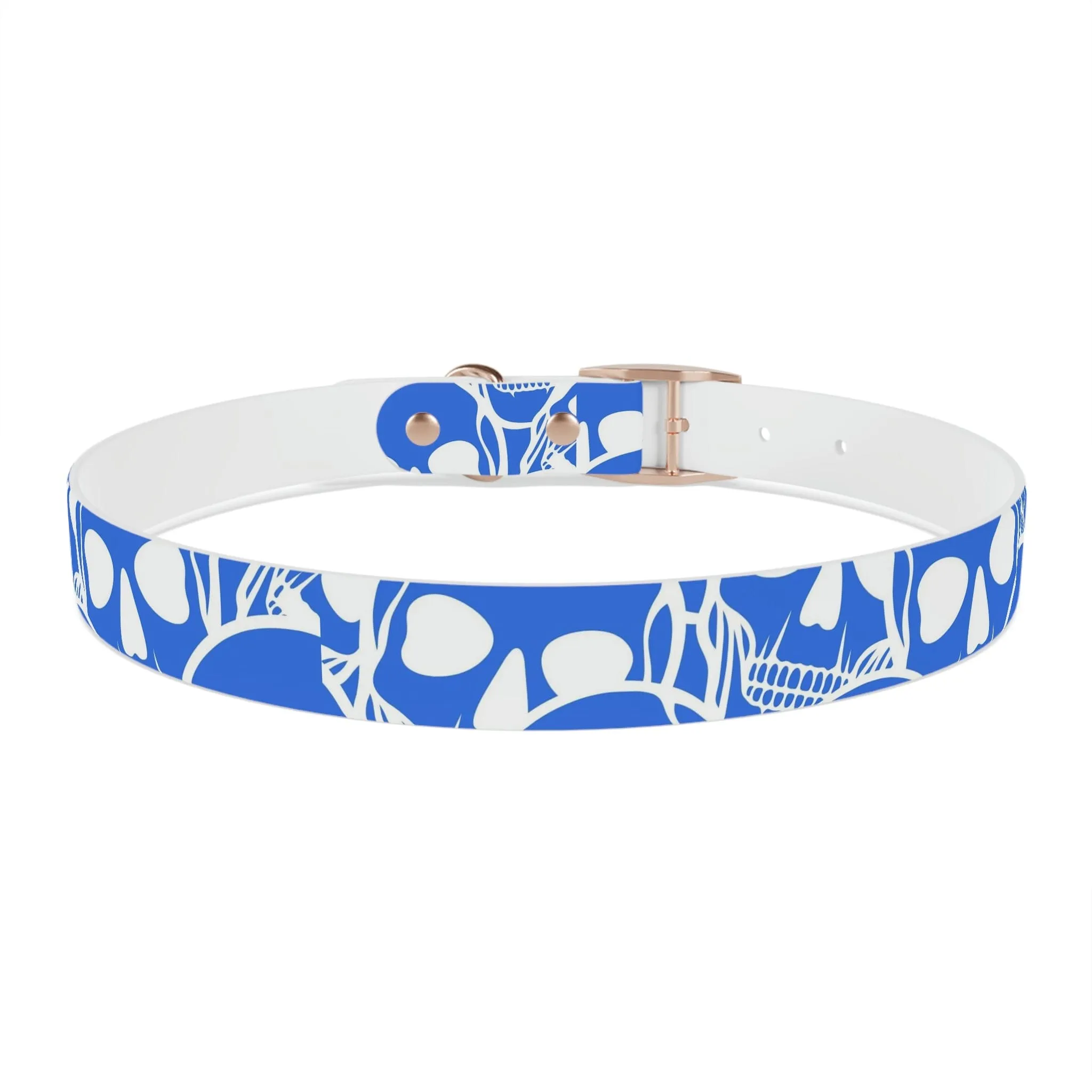 Blue Skull Dog Collar Four Color Buckles