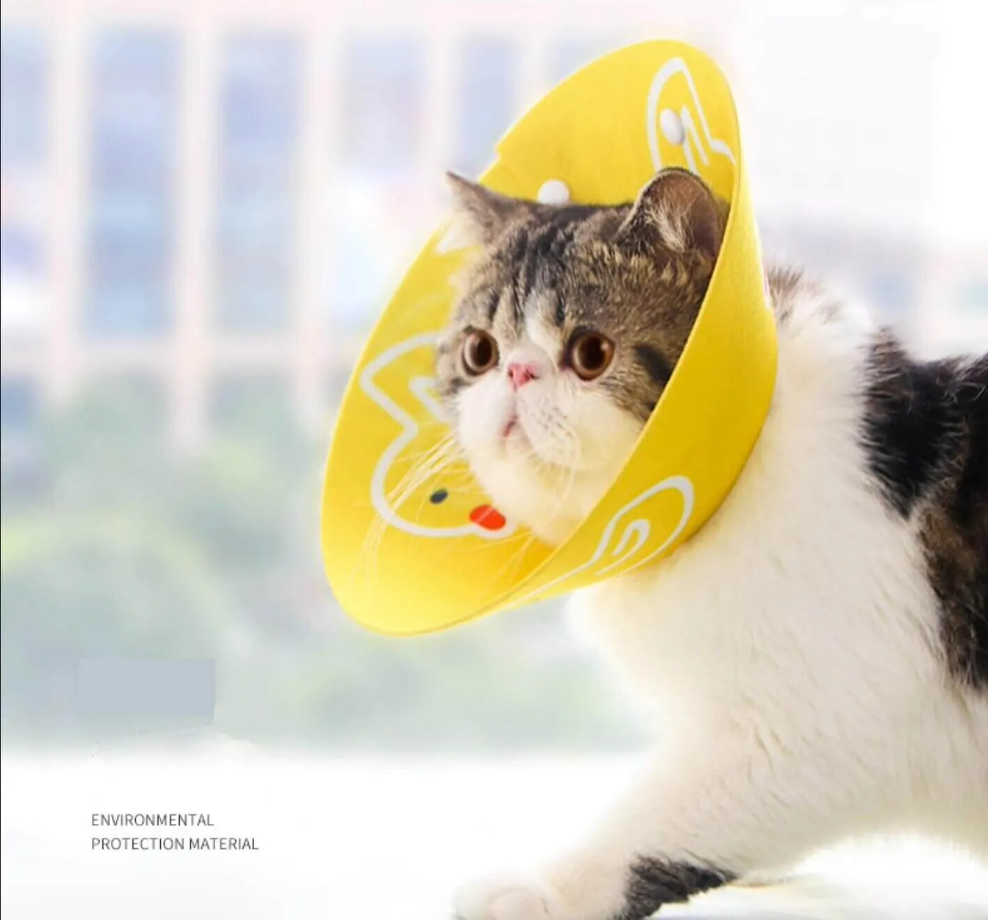 Cat Cone Anti-Bite Elizabethan Waterproof Recovery Collar with Cartoon Pattern