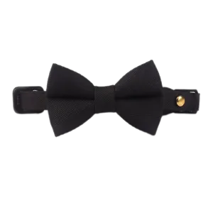 Cat Suit Collar Bowtie