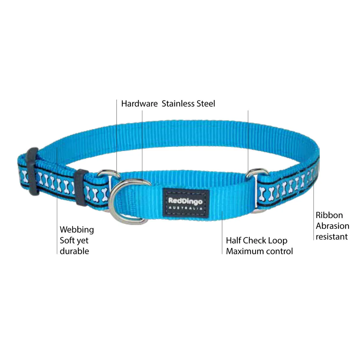 Classic Turquoise Martingale