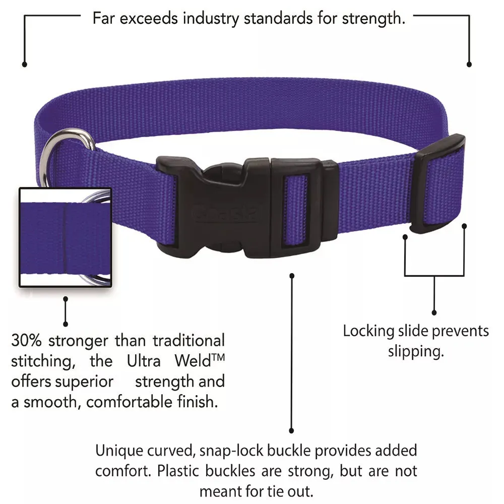 Coastal Pet Products Adjustable Dog Collar With Plastic Buckle