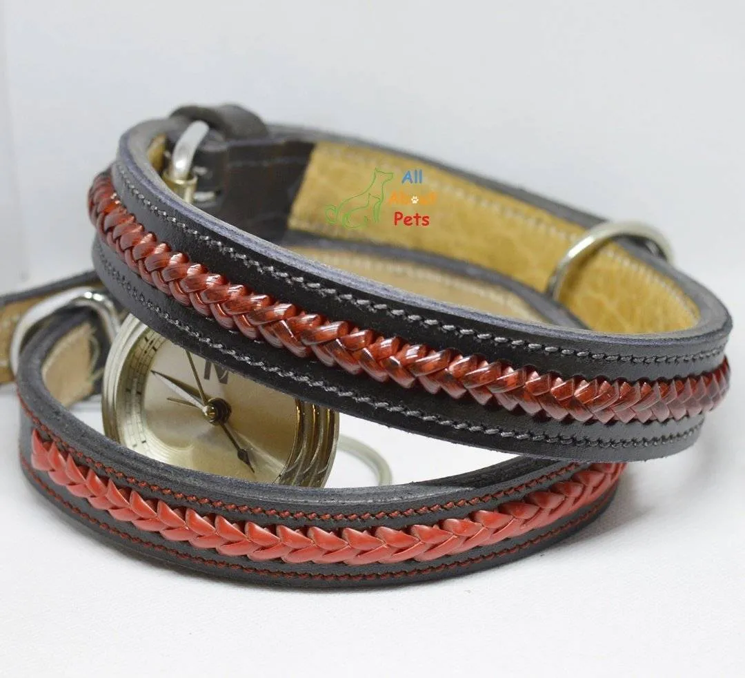 Color Braided Black Leather Dog Collar