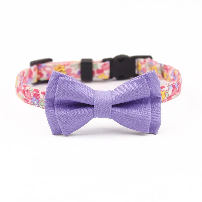 Color Print Striking Cat Collar Bowtie