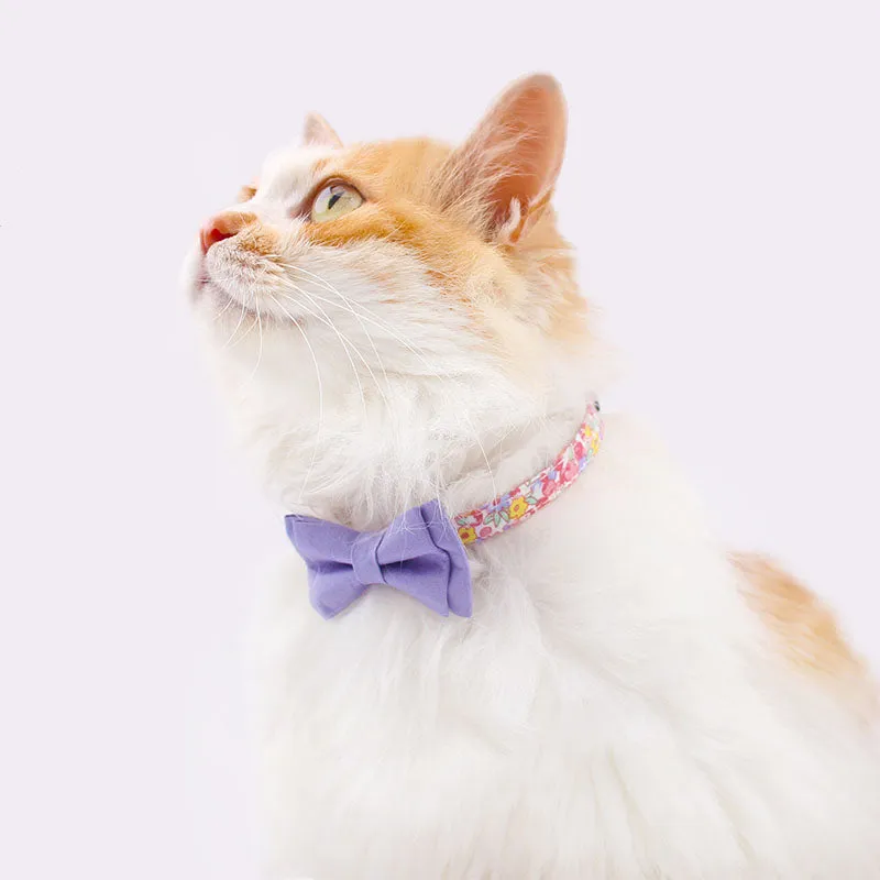 Color Print Striking Cat Collar Bowtie