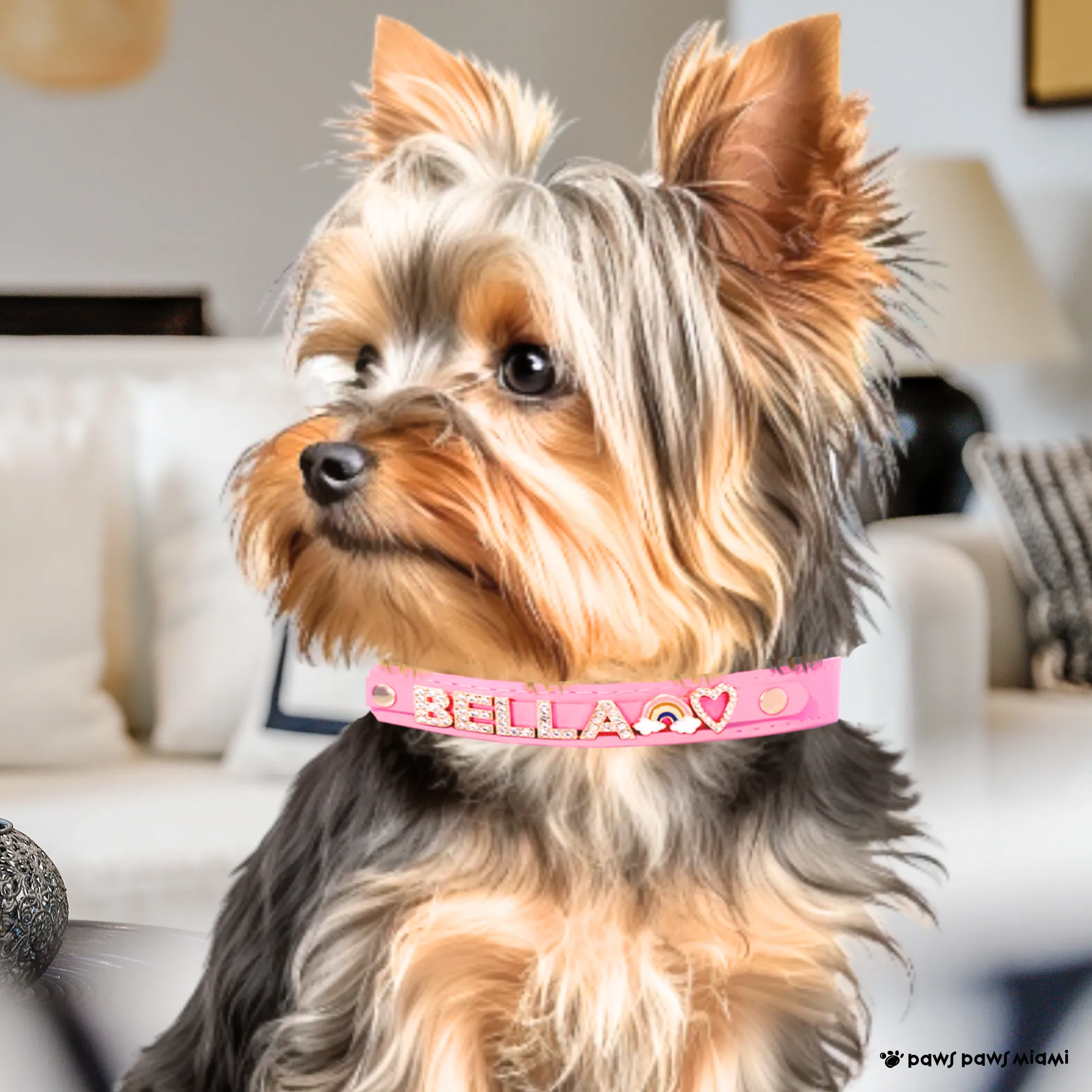 CUSTOM DOG COLLARS WITH STUDDED JEWELRY