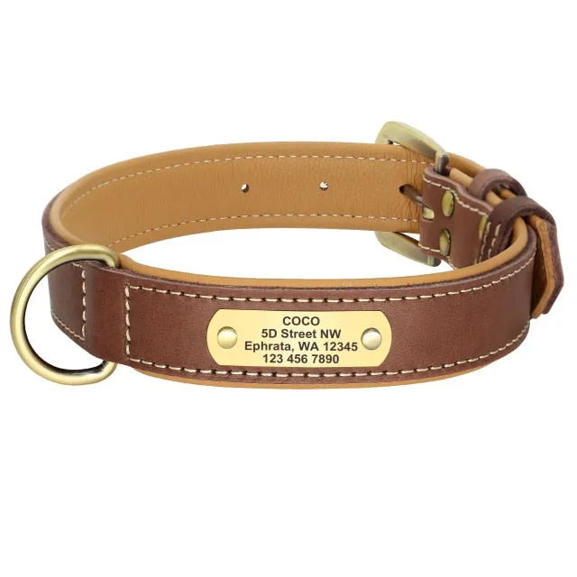 Custom Leather Dog Collar Engraved