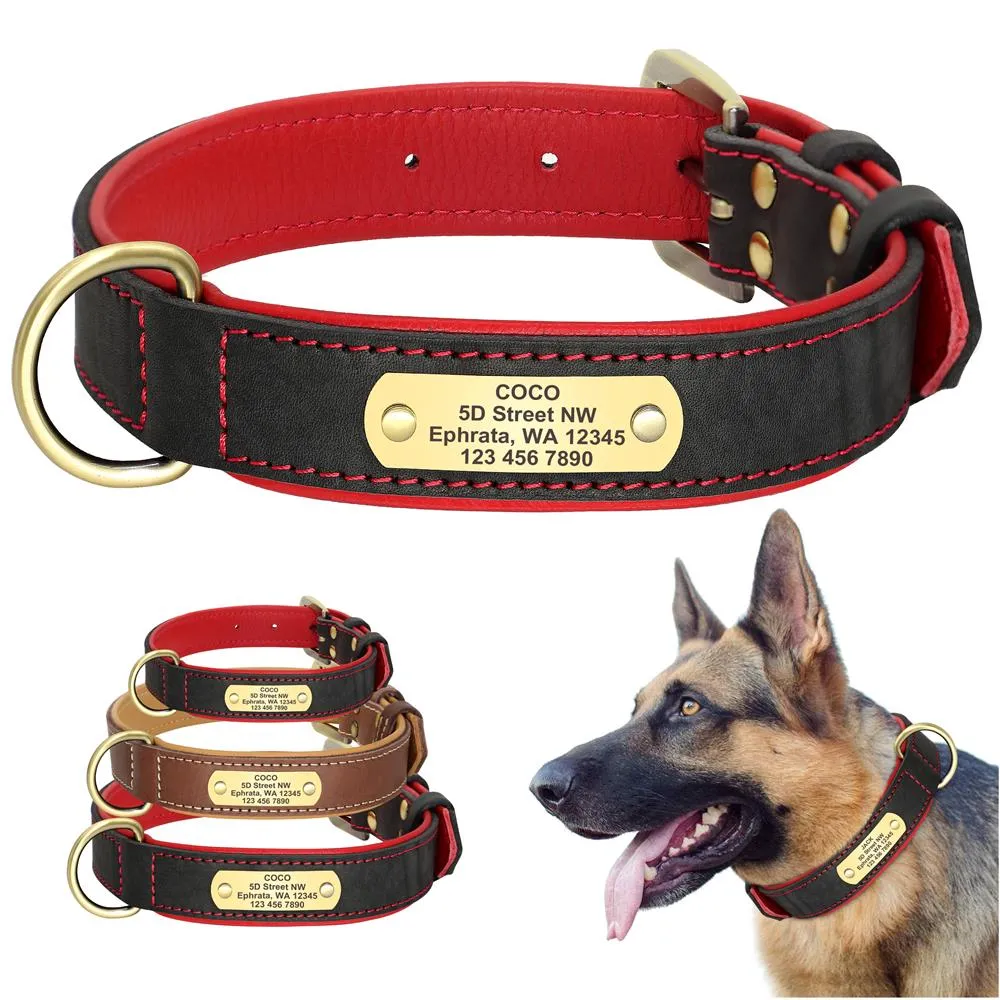 Custom Leather Dog Collar Engraved