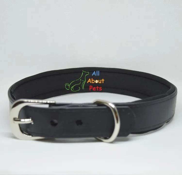 Dog Collar Large Yellow & Black Color