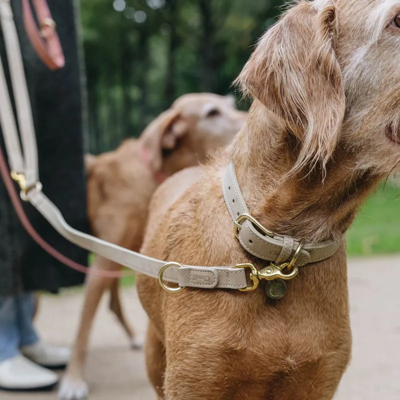 Dog Collar Tiergarten - New