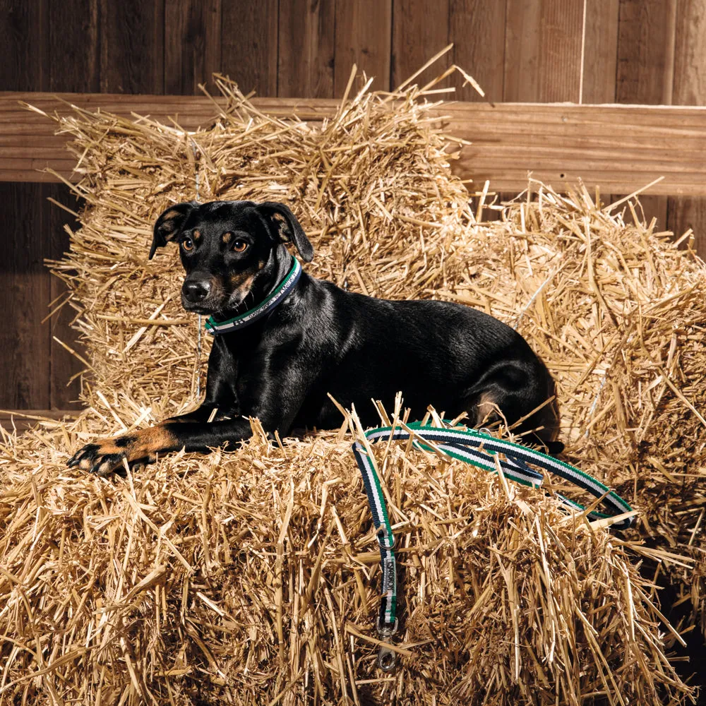 Eskadron Dog Collar and Lead Set