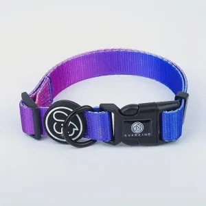 Everking Premium Dog Collars - Purple - Small