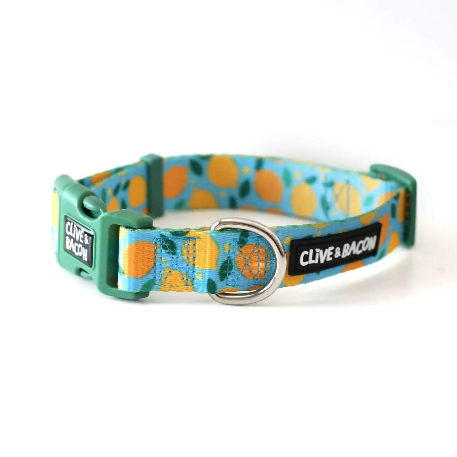 Lemon Squeeze Dog Collar