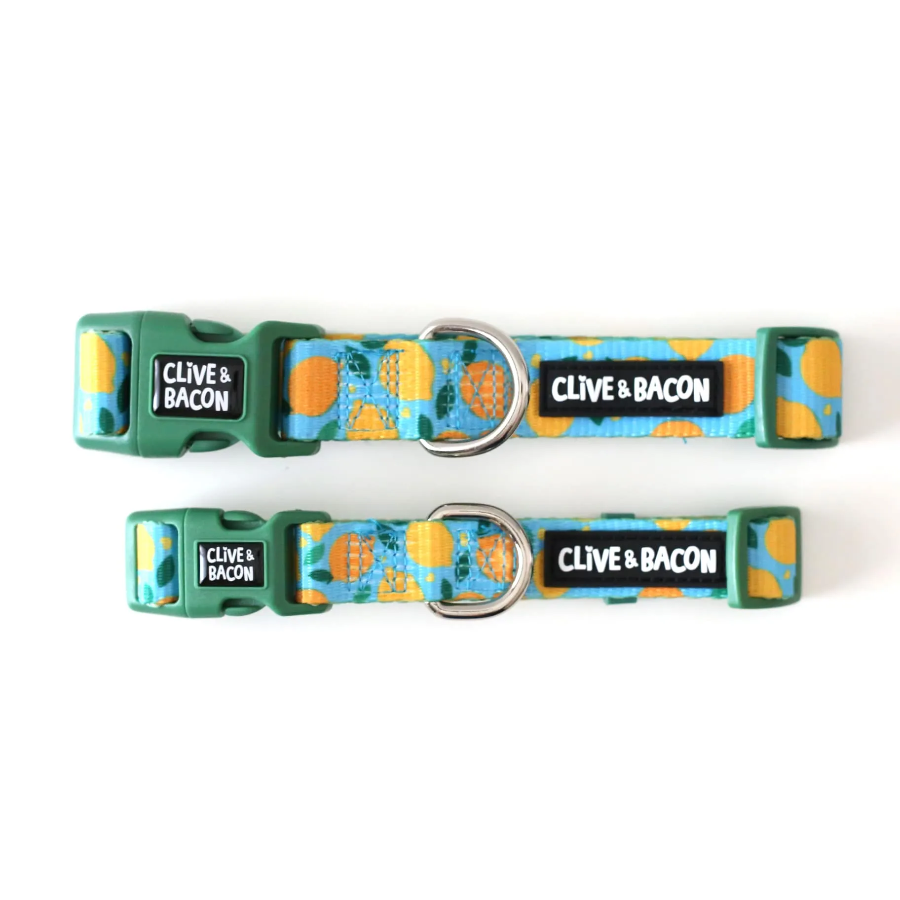 Lemon Squeeze Dog Collar