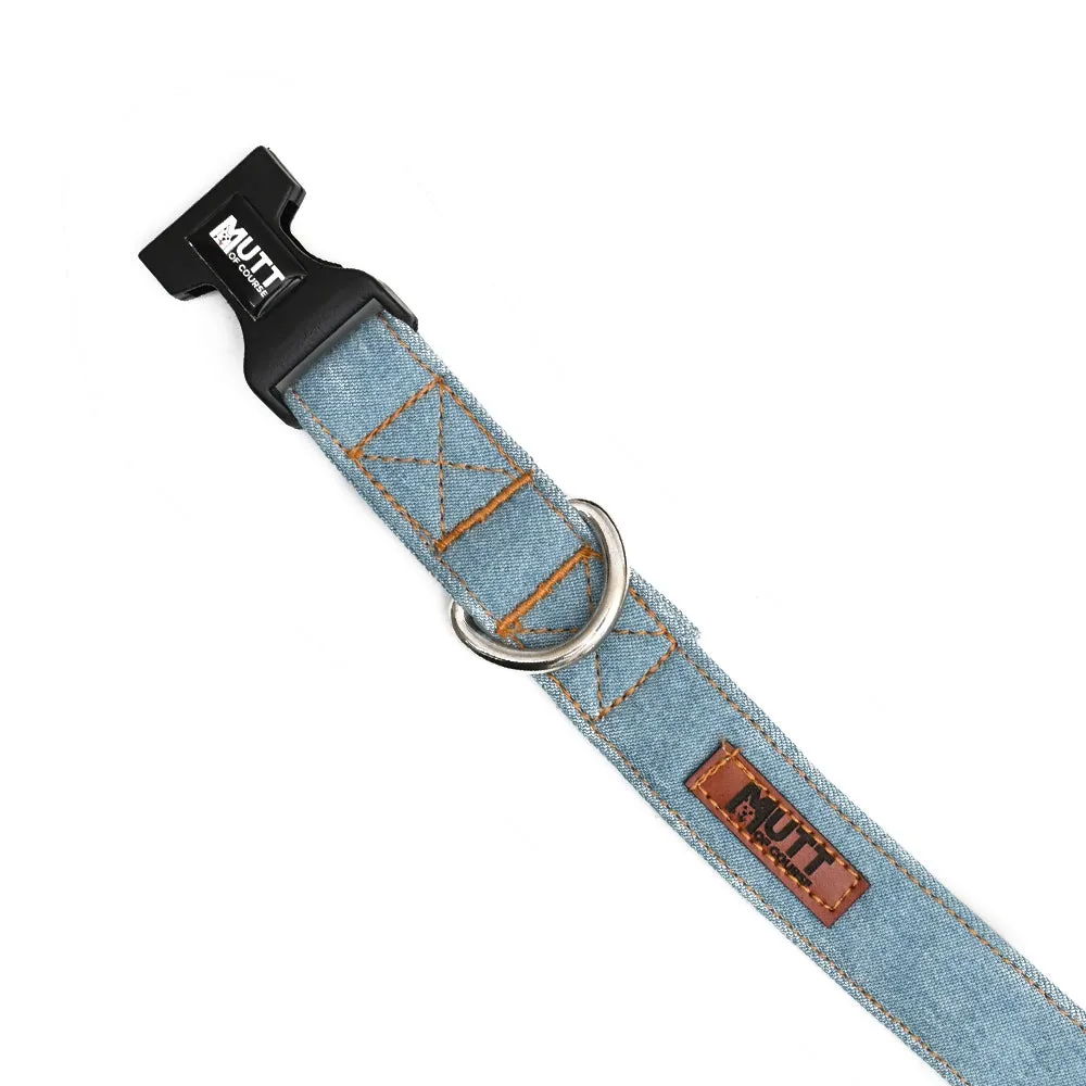 Light Blue Denim Collar