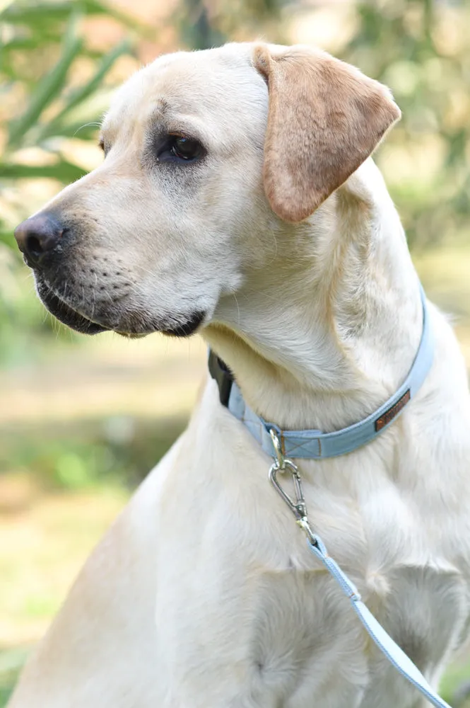 Light Blue Denim Collar