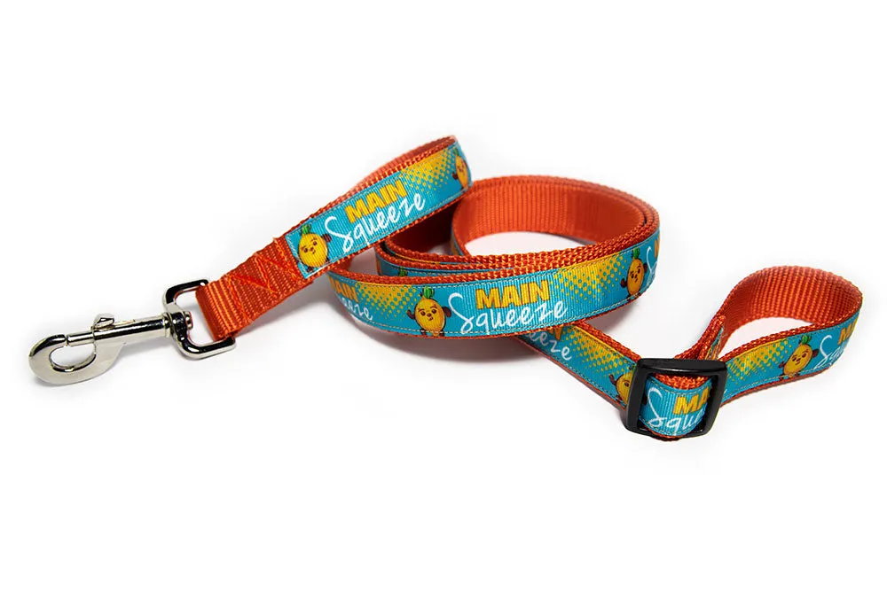 Main Squeeze Dog Leash