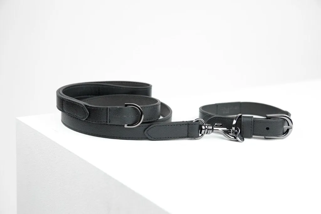 MaxBone Jet Black Dog Collar