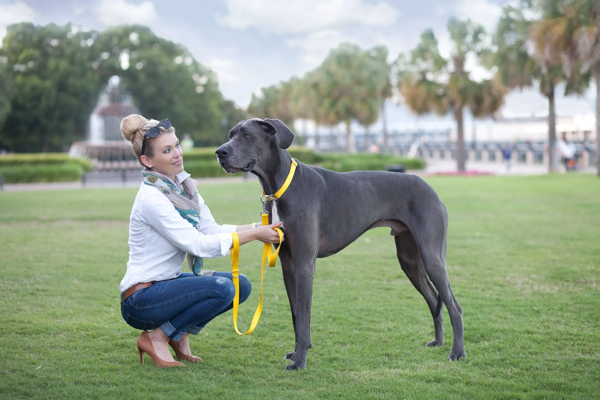 Mustard Yellow Webbing Collar