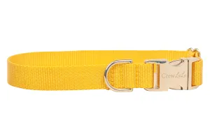 Mustard Yellow Webbing Collar