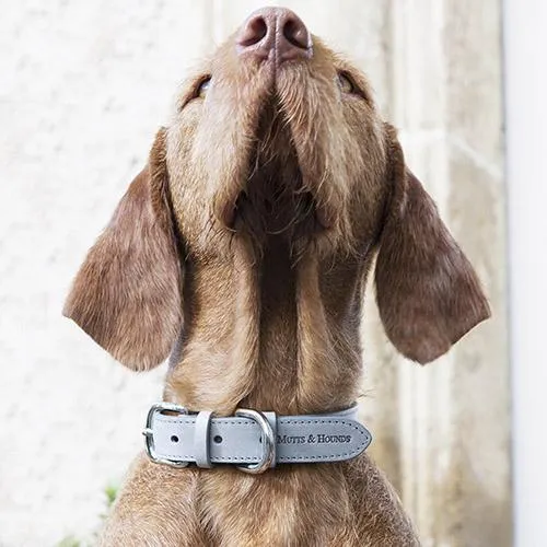 Mutts & Hounds Leather Dog Collar