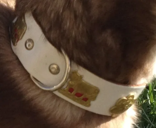 Overstock Sale! 1" Small Traditional Swiss Dog Collar