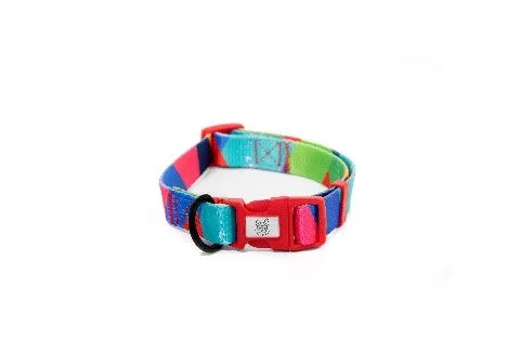 Pickles Rainbow Dreams Collar