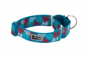 RC Pets  Wide Clip Collar Maldives SALE