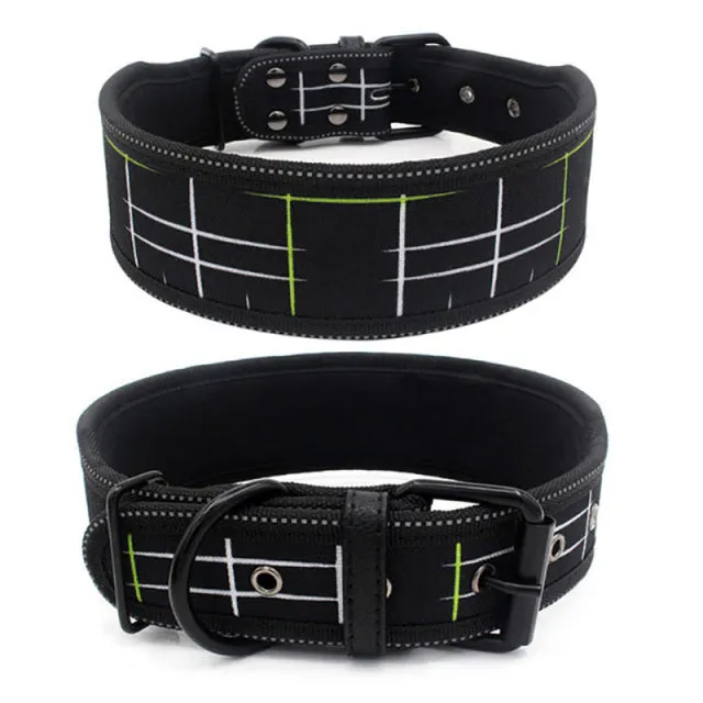 Reflective Dog Collar with Buckle Adjustable