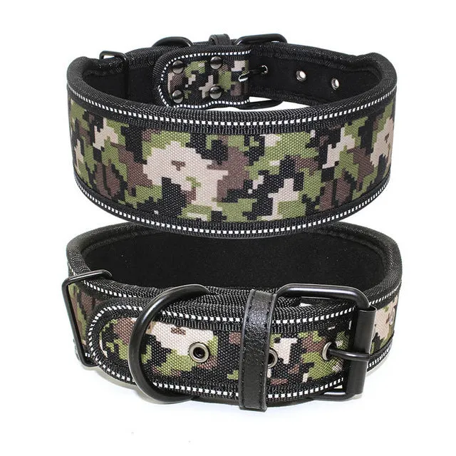 Reflective Dog Collar with Buckle Adjustable