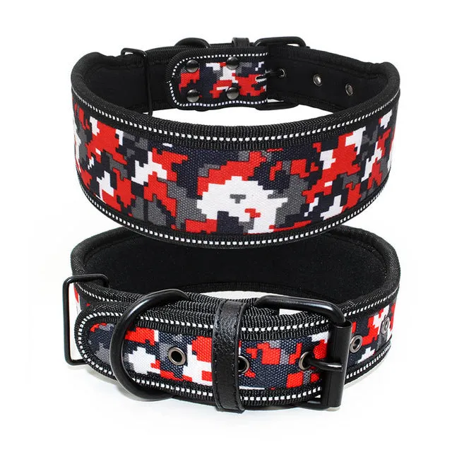 Reflective Dog Collar with Buckle Adjustable