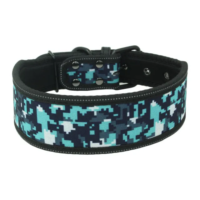 Reflective Dog Collar with Buckle Adjustable