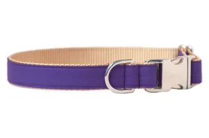 Royal Purple Dog Collar