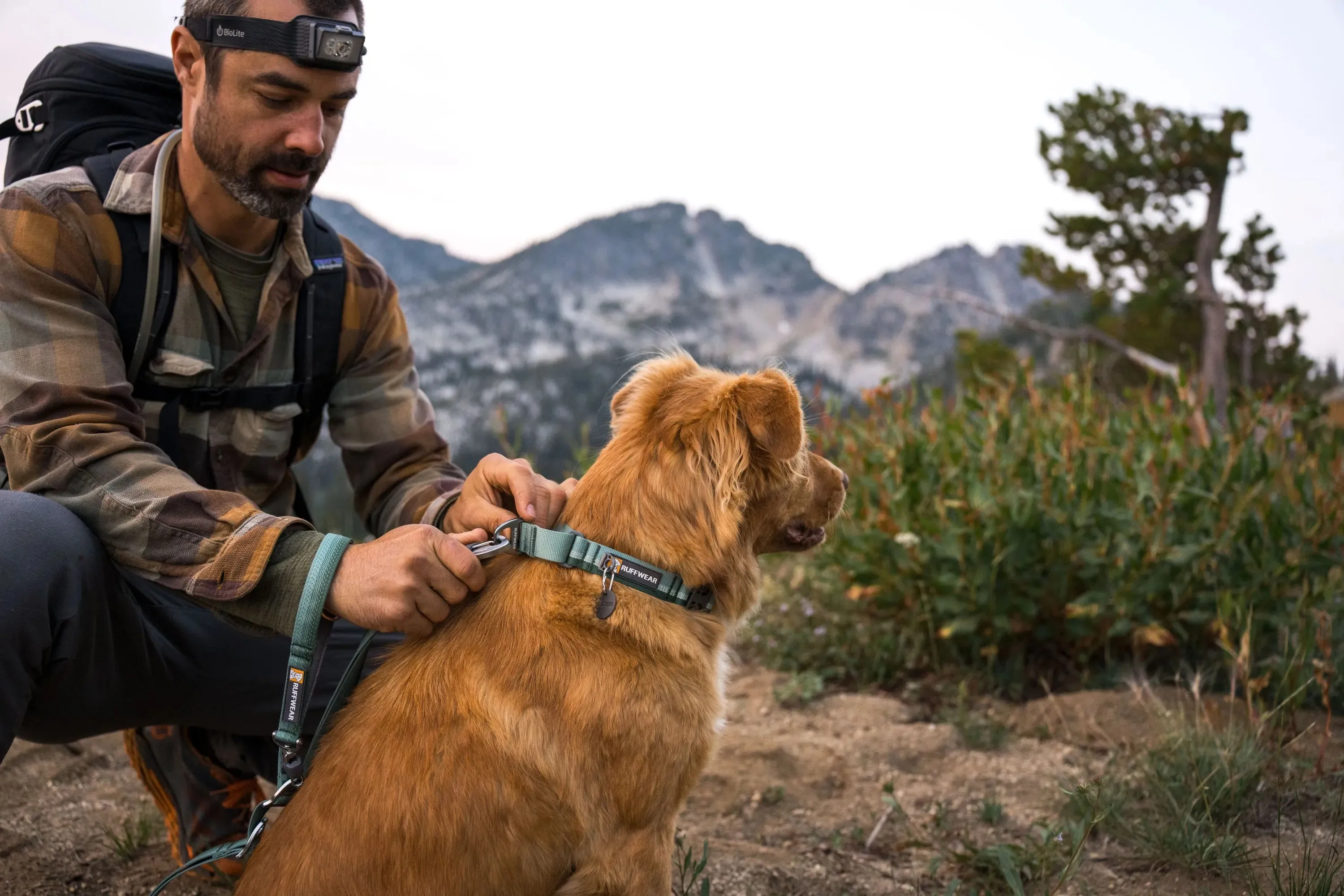 Ruffwear Web Reaction™ Reflective Buckled Martingale Dog Collar (River Rock Green)