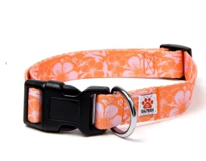 Saltrock Hibiscus - Dog Collar - Orange