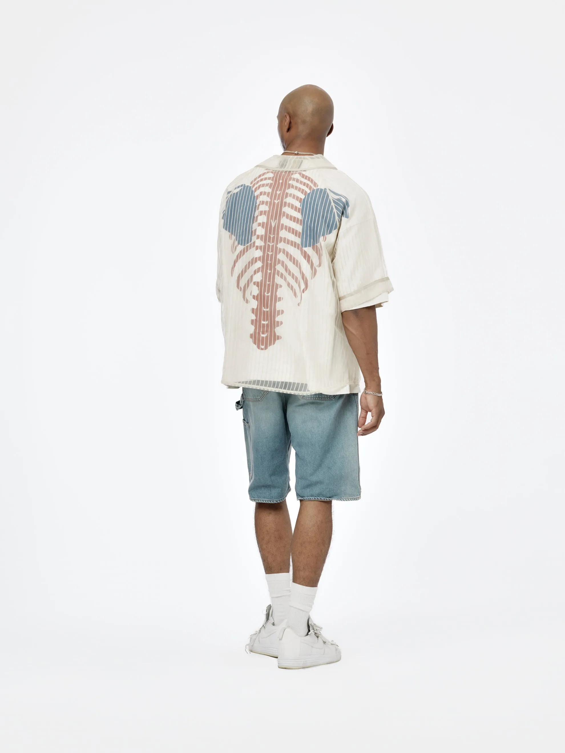 Sheer Stripe Great Kountry Baseball Shirt (Beige)