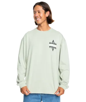 Take Us Back Long Sleeve Tee in Desert Sage