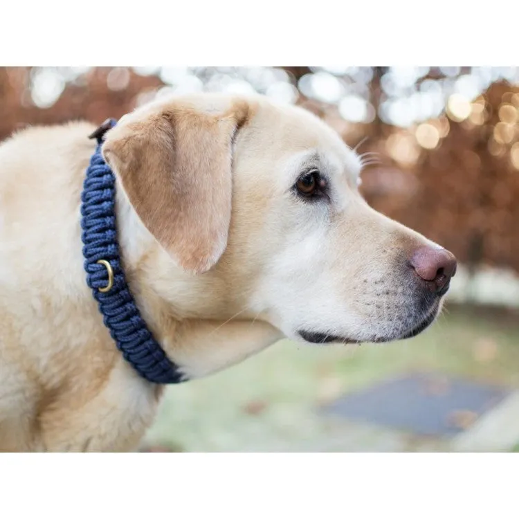 Touch of Leather Dog Collar - Navy