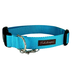 Turquoise/Aqua Nylon Webbing Dog Collar - 802