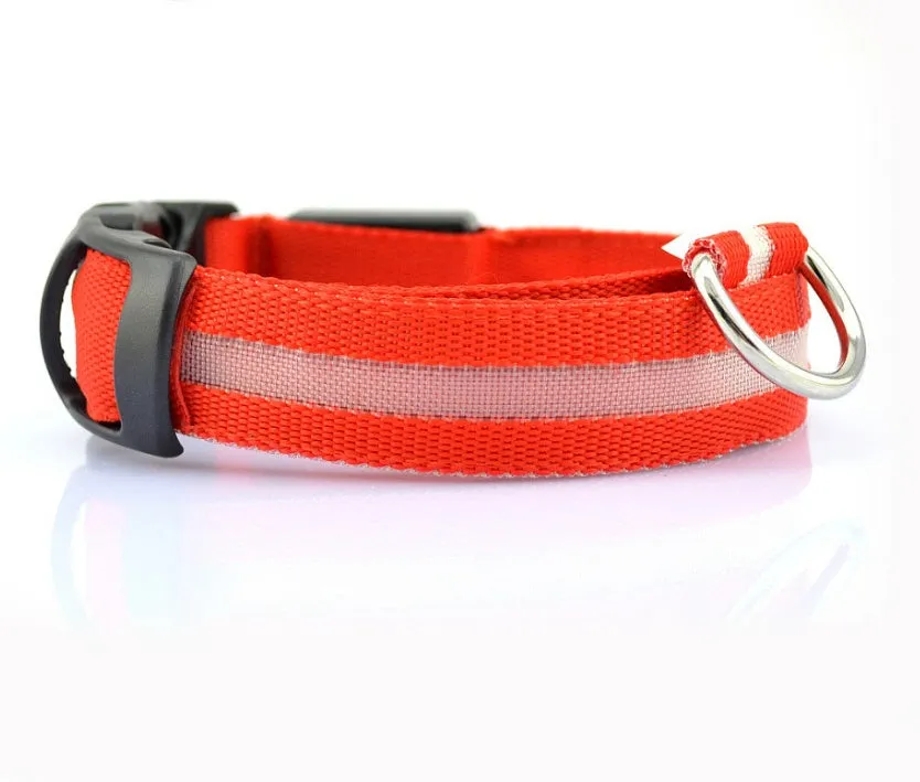 USB Rechargeable LED Pet Collar – Keep Your Pet Safe and Stylish at Night!