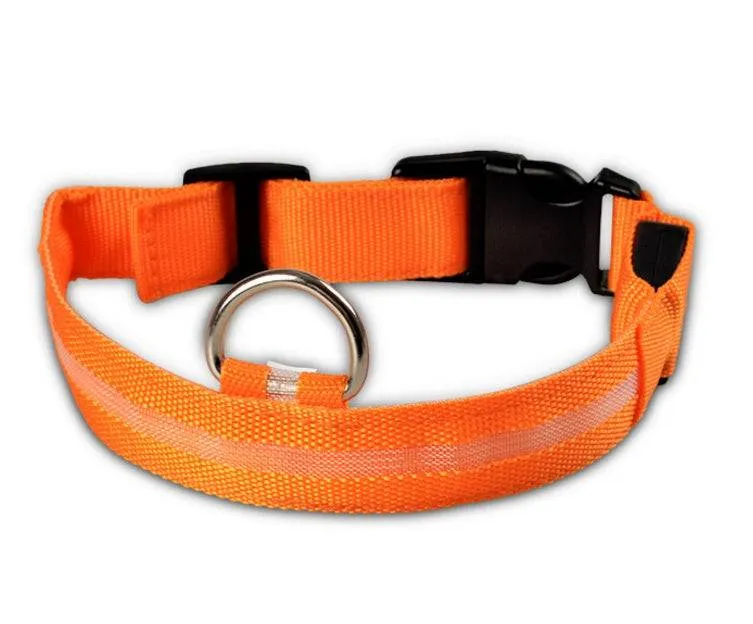 USB Rechargeable LED Pet Collar – Keep Your Pet Safe and Stylish at Night!