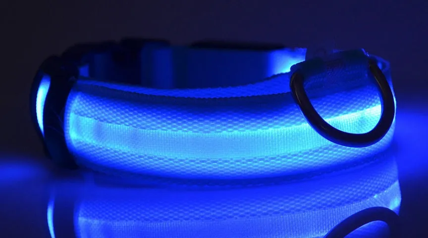 USB Rechargeable LED Pet Collar – Keep Your Pet Safe and Stylish at Night!