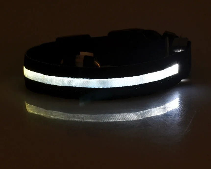 USB Rechargeable LED Pet Collar – Keep Your Pet Safe and Stylish at Night!