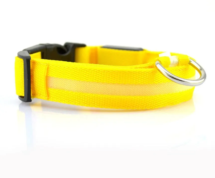 USB Rechargeable LED Pet Collar – Keep Your Pet Safe and Stylish at Night!