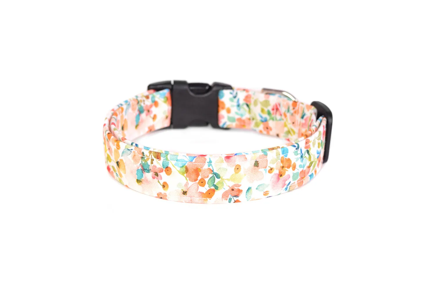 Watercolor Floral Dog Collar