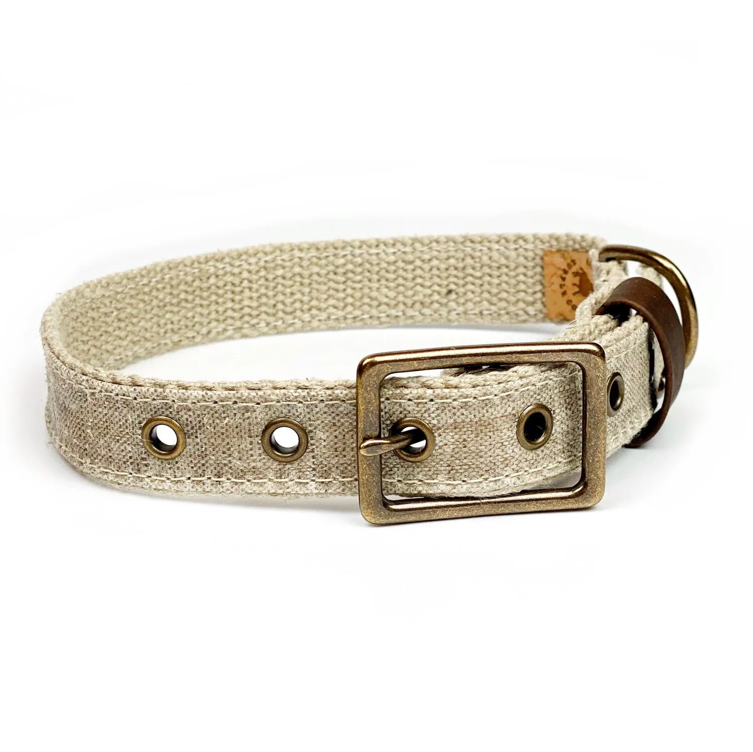 Waxed Canvas Buckle Collar