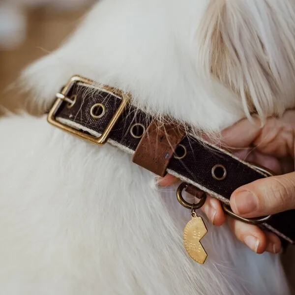 Waxed Canvas Buckle Collar