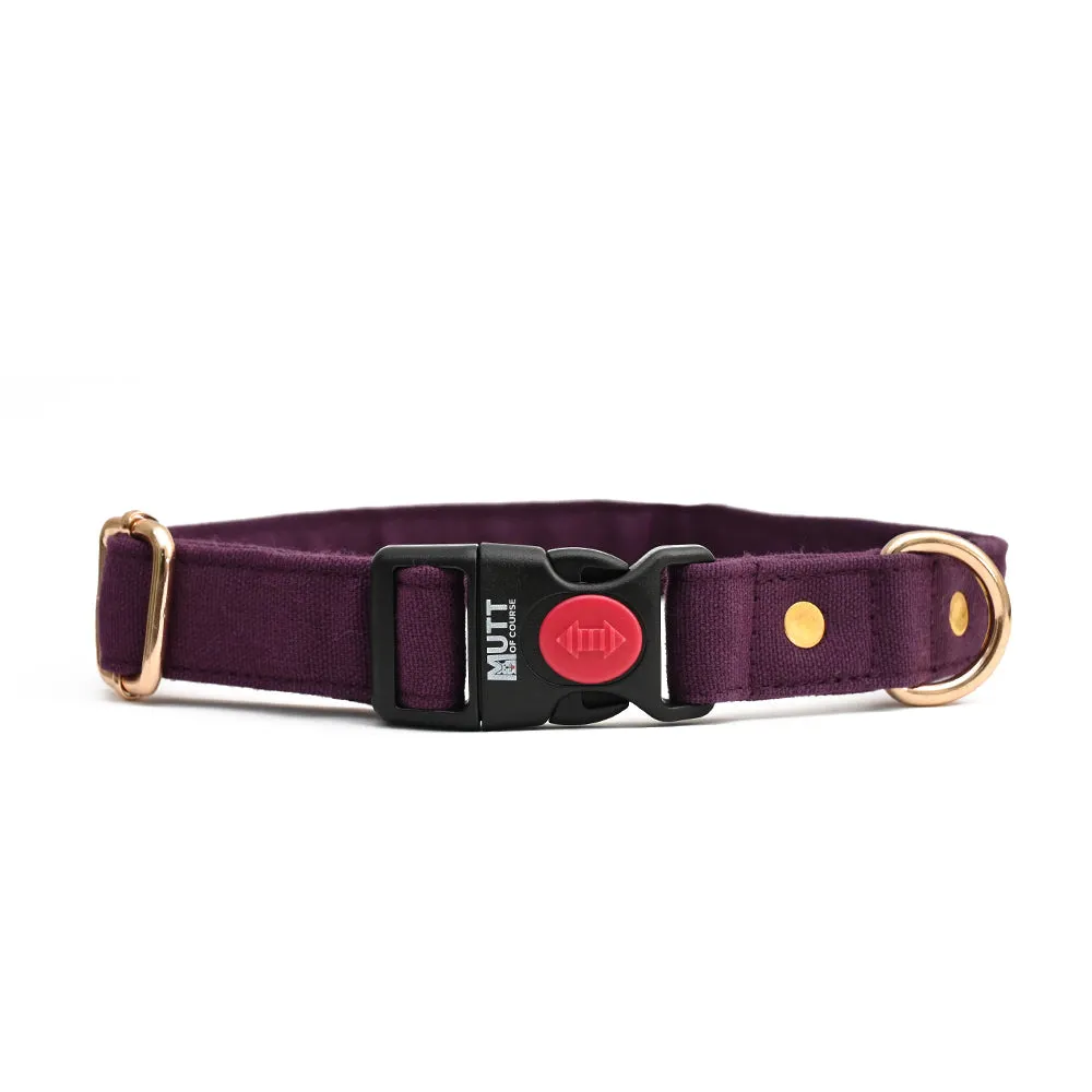 Wildberry Collar (Water Resistant)